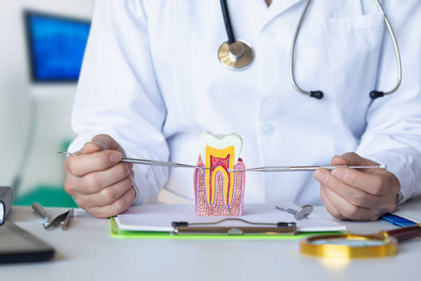 Best Chipped Tooth Repair Near Me  in Buckeye Lake, OH